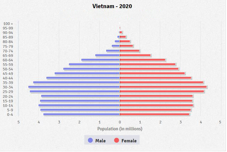 Vietnam Age Structure and Population Pyramid